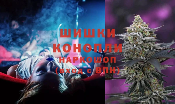 крисы Никольск